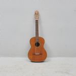 1496 5116 Gitarr